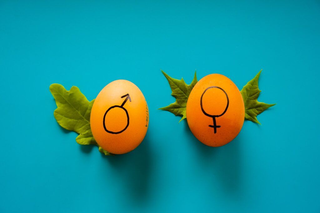 index egalite hommes femmes