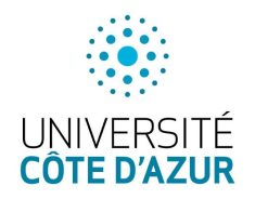 UCA UCA